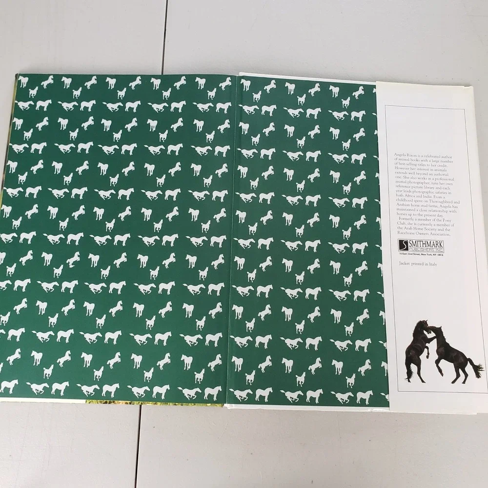 The World of Horses Angela Rixon Hardcover Book 1994 Smithmark Photography